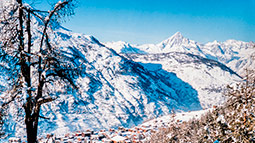 bietschhorn winter berner alpen
